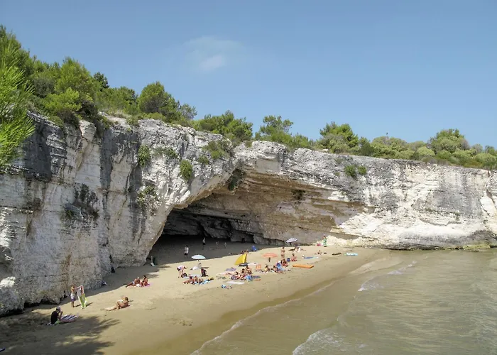 In By Interhome 아파트 *